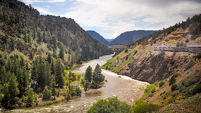 Ridership Statistics