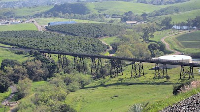 Local & Regional Organizations